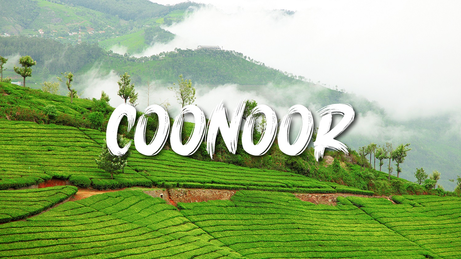 Book-Trichy-To-Coonoor-Tour-package-Car-Rental